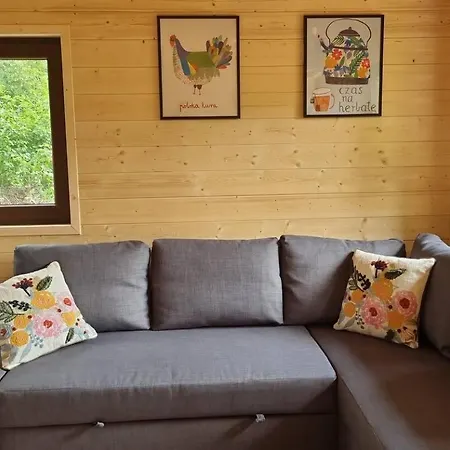 別荘 Czeresniowy Skrzat Ii