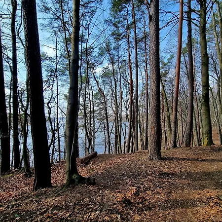 펜션 Czeresniowy Skrzat Ii *