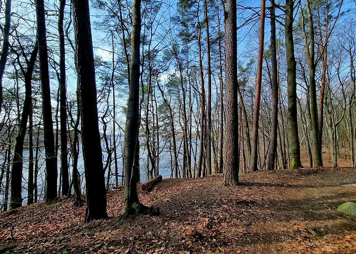 Prázdninový dům Czeresniowy Skrzat Ii *